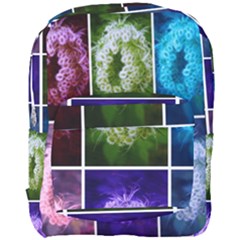 Closing Queen Annes Lace Collage (horizontal) Full Print Backpack by okhismakingart