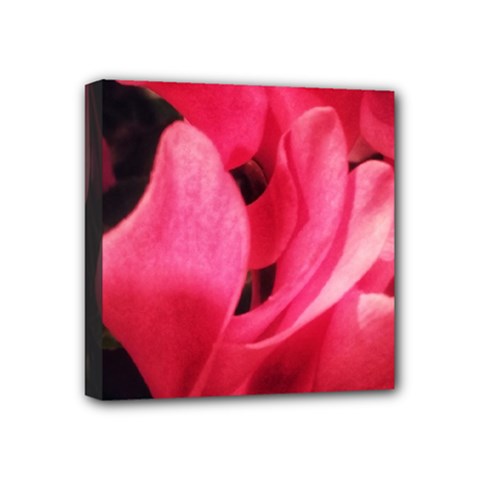 Pink Mini Canvas 4  X 4  (stretched) by okhismakingart