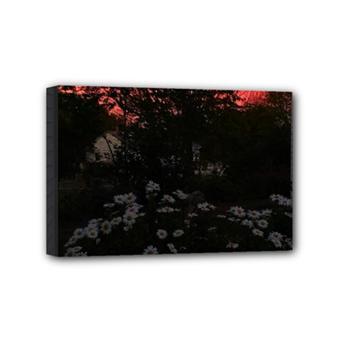 Daisies And Pink Mini Canvas 6  X 4  (stretched) by okhismakingart