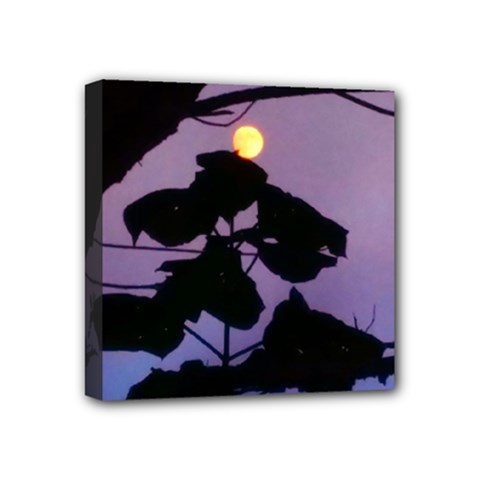 Moon And Catalpa Tree Mini Canvas 4  X 4  (stretched) by okhismakingart