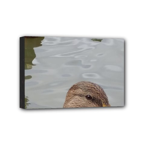Framed Ducks Mini Canvas 6  X 4  (stretched) by okhismakingart