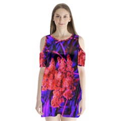 Red And Blue Sideways Sumac Shoulder Cutout Velvet One Piece by okhismakingart