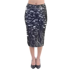 High Contrast Black And White Queen Anne s Lace Hillside Velvet Midi Pencil Skirt by okhismakingart