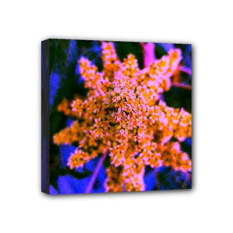 Yellow, Pink, And Blue Sumac Bloom Mini Canvas 4  X 4  (stretched) by okhismakingart