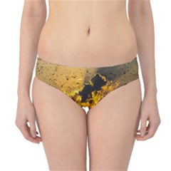 Sunset Reflection Birds Clouds Sky Hipster Bikini Bottoms by HermanTelo