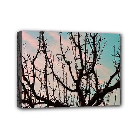 Fruit Tree Silhouette Aesthetic Mini Canvas 7  X 5  (stretched) by Pakrebo