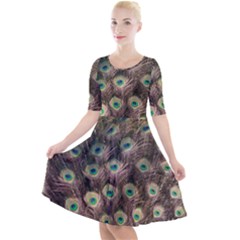 Bird Peacock Tail Feathers Quarter Sleeve A-line Dress by Pakrebo