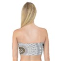 Cami Texture Pattern Architecture Bandeau Top View2