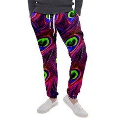 Peacock Feathers Color Plumage Men s Jogger Sweatpants by HermanTelo