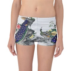 Image From Rawpixel Id 434953 Jpeg (2) Reversible Boyleg Bikini Bottoms by Sobalvarro