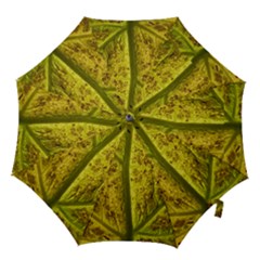 Leaf Structure Texture Background Hook Handle Umbrellas (small) by Pakrebo