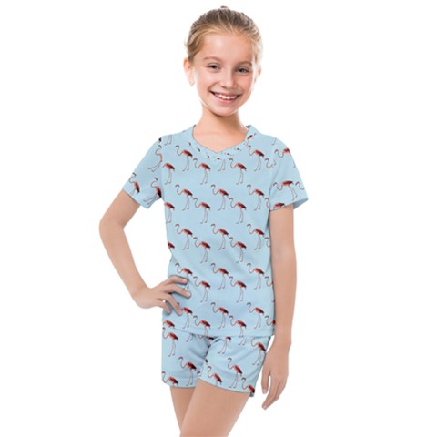 Flamingo Pattern Blue Kids  Mesh Tee And Shorts Set by snowwhitegirl