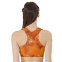 Pumpkin Halloween Fall Thanksgiving Sports Bra with Border View2