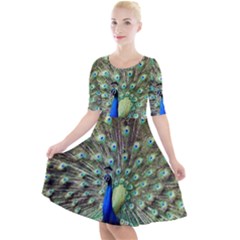 Blue And Green Peacock Quarter Sleeve A-line Dress by Pakrebo
