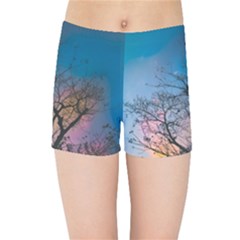 Low Angle Photography Of Bare Tree Kids  Sports Shorts by Pakrebo