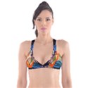 #art #illustration #drawing #infinitepainter #artist #sketch #mirrorart #jwildfire #mirrorlab #galle Webp Net Resizeimage (8) Plunge Bikini Top View1