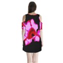 Pink and Red Tulip Shoulder Cutout Velvet One Piece View2