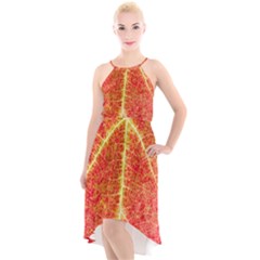 Plant Vineyard Wine Sunlight Texture Leaf Pattern Green Red Color Macro Autumn Circle Vein Sunny  High-low Halter Chiffon Dress  by Vaneshart