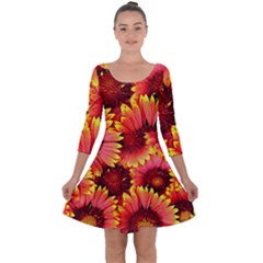 Background 1655938 960 720 Quarter Sleeve Skater Dress by vintage2030