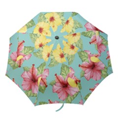 Hibiscus Folding Umbrellas by Sobalvarro