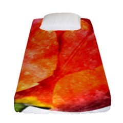 Tulip Watercolor Red And Black Stripes Fitted Sheet (single Size) by picsaspassion