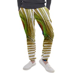 Peacock Feather Plumage Colorful Men s Jogger Sweatpants by Sapixe
