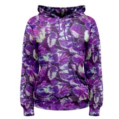 Botanical Violet Print Pattern 2 Women s Pullover Hoodie by dflcprintsclothing