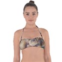 Close Up Mushroom Abstract Halter Bandeau Bikini Top View1