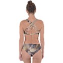 Close Up Mushroom Abstract Criss Cross Bikini Set View2