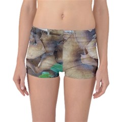 Close Up Mushroom Abstract Boyleg Bikini Bottoms by Fractalsandkaleidoscopes
