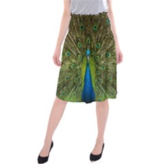 Peacock Feathers Bird Nature Midi Beach Skirt by Vaneshart