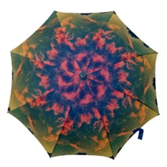  Brushstroke Skies Hook Handle Umbrellas (small) by okhismakingart