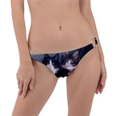 Cats Brothers Ring Detail Bikini Bottom by Sparkle