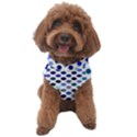 Shades Of Blue Polka Dots Dog Sweater View1