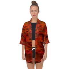 Fire Lion Flame Light Mystical Open Front Chiffon Kimono by HermanTelo