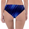 Indigo and Black Stripes Reversible Classic Bikini Bottoms View2