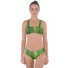 In The Forest The Fullness Of Spring, Green, Criss Cross Bikini Set by MartinsMysteriousPhotographerShop