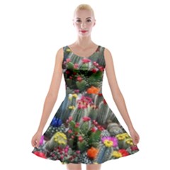 Cactus Velvet Skater Dress by Sparkle