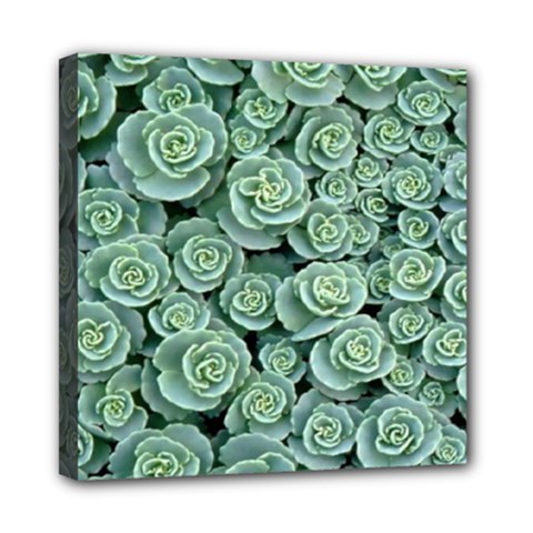 Realflowers Mini Canvas 8  X 8  (stretched) by Sparkle