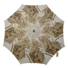 Apollo And Daphne Bernini Masterpiece, Italy Hook Handle Umbrellas (large) by dflcprintsclothing