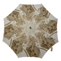 Apollo And Daphne Bernini Masterpiece, Italy Hook Handle Umbrellas (Small) View1