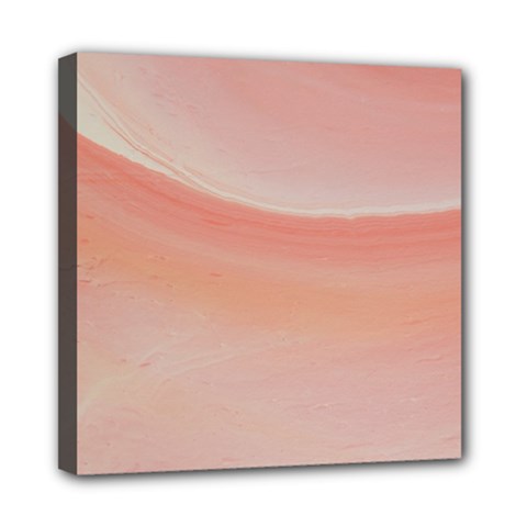 Pink Sky Mini Canvas 8  X 8  (stretched) by WILLBIRDWELL