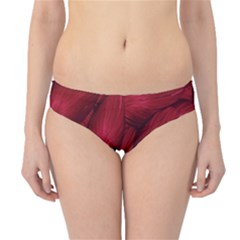 Gc (90) Hipster Bikini Bottoms by GiancarloCesari
