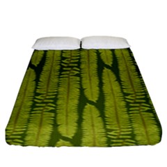 Fern Texture Nature Leaves Fitted Sheet (king Size) by Dutashop