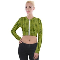 Fern Texture Nature Leaves Long Sleeve Cropped Velvet Jacket by Dutashop