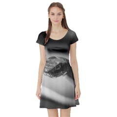 Black And White Snake Short Sleeve Skater Dress by ExtraAwesomeSauce