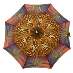 Pheonix Rising Straight Umbrellas by icarusismartdesigns