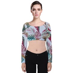 Hh F 5940 1463781439 Velvet Long Sleeve Crop Top by tracikcollection