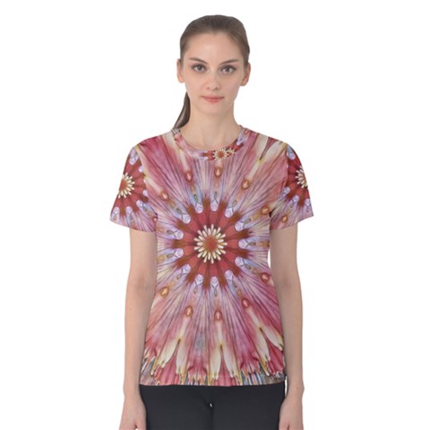 Pink Beauty 1 Women s Cotton Tee by LW41021