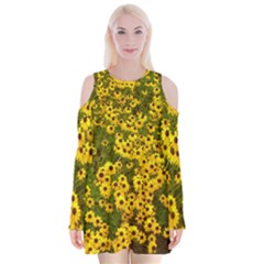 Daisy May Velvet Long Sleeve Shoulder Cutout Dress by LW323